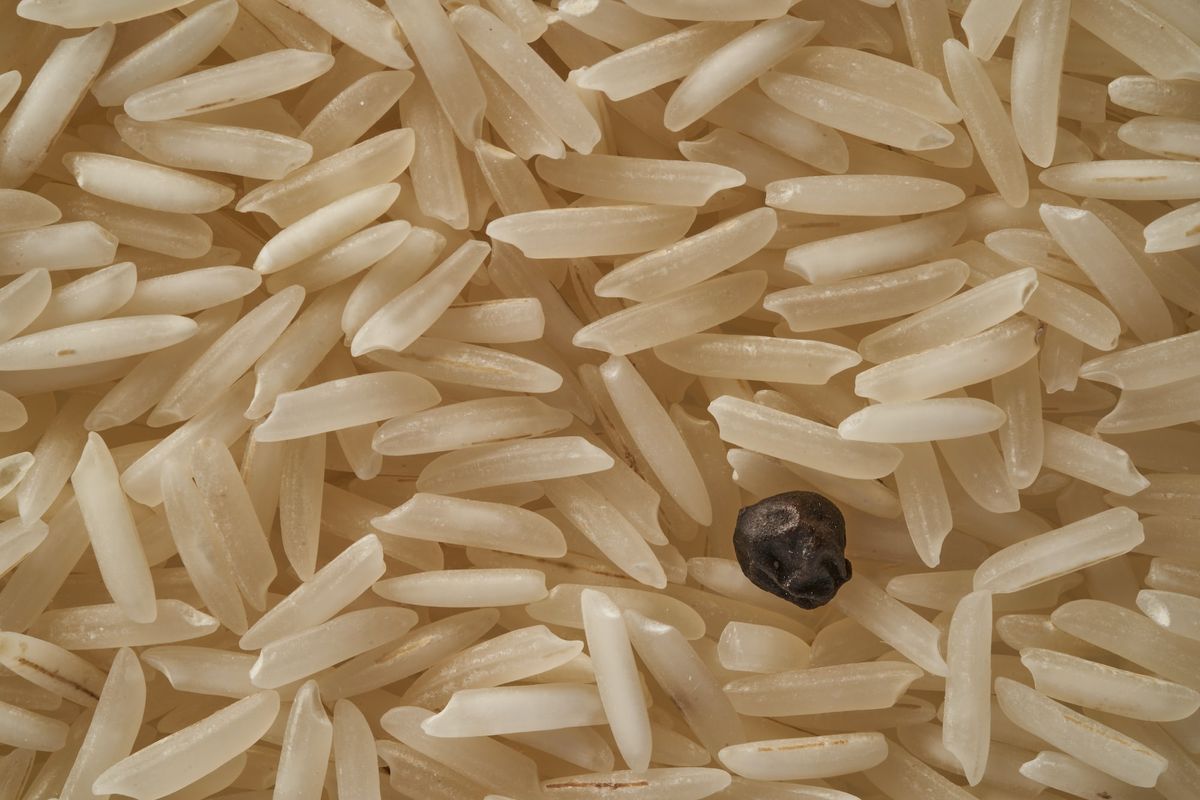 'Plastic Rice' - Is It a Threat?
