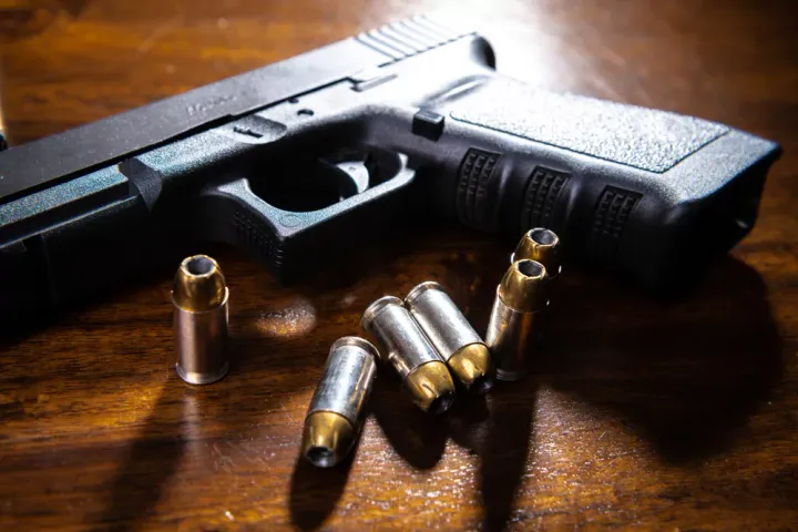 New Local Laws Require Gun Owners to Have Insurance