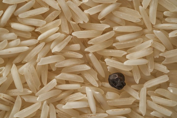 photo of rice