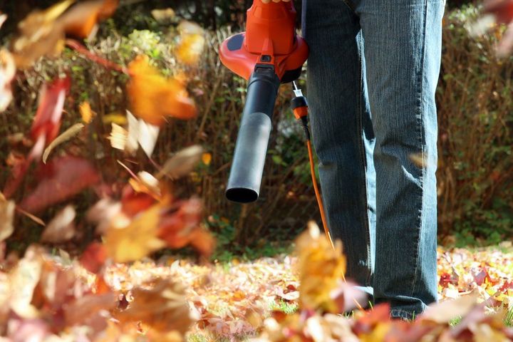 California Outlawing Gas-Powered Leaf Blowers, Lawn Mowers
